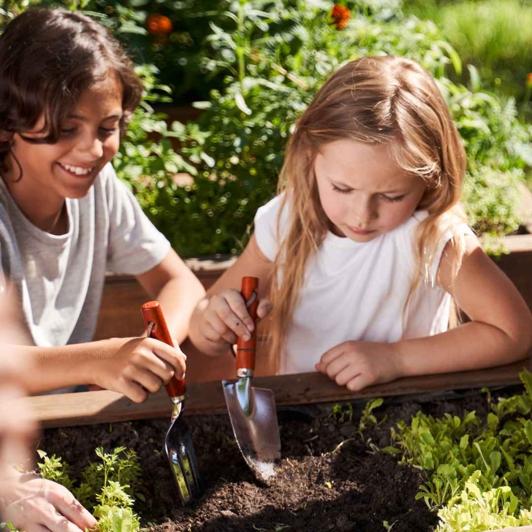Flowers for Kids, Enchanting Way to Bring Joy and Memories - creating meanignful experience with nature