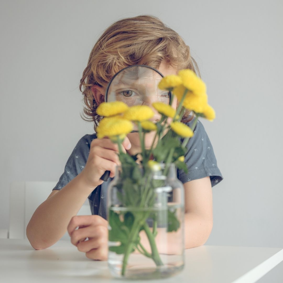 choosing the right flowers for kids