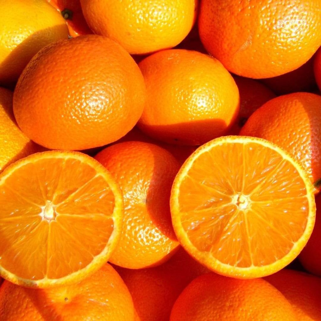 Fresh Fruit Basket - Oranges