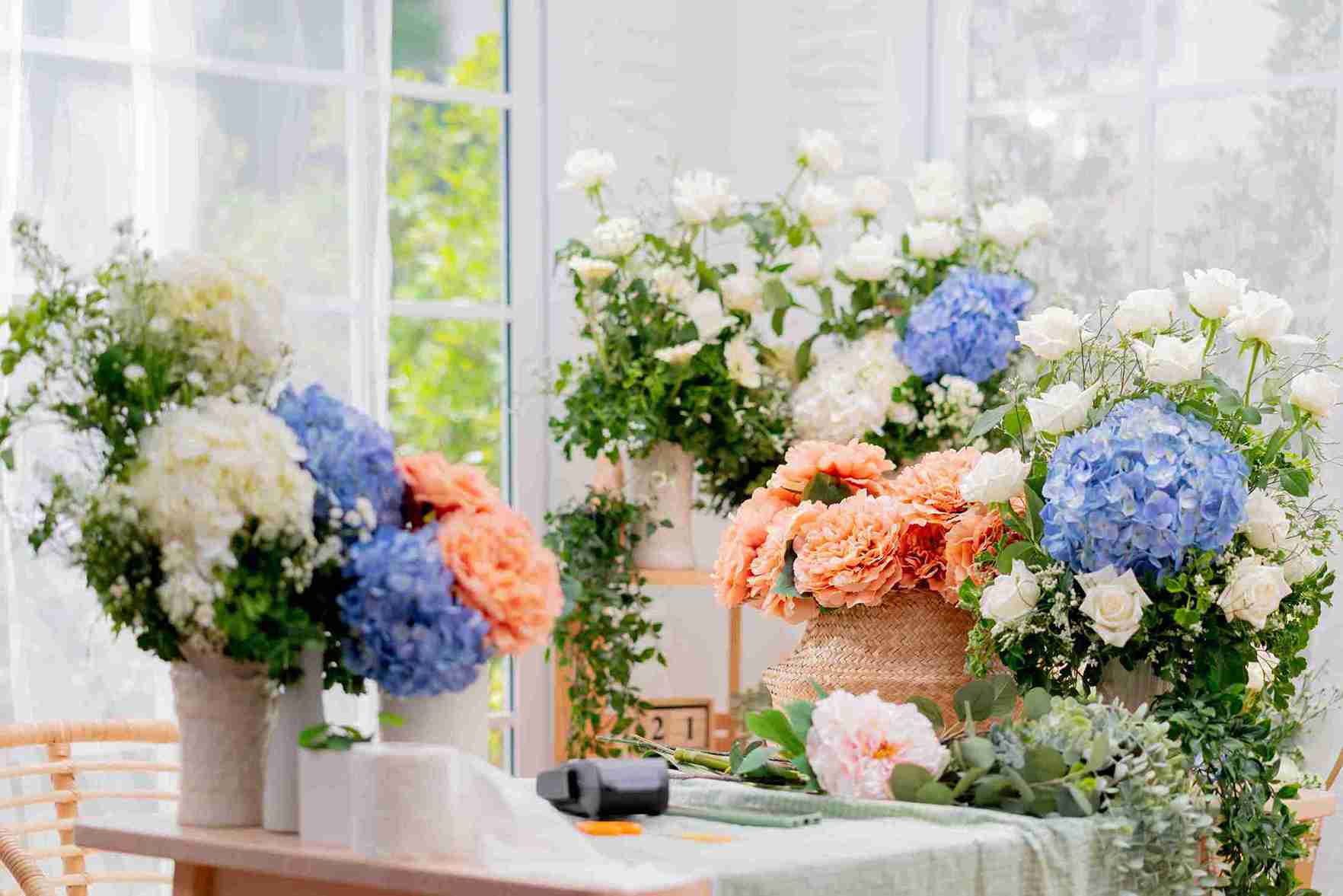 hydrangea