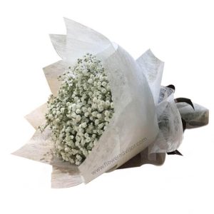 Baby's Breath, The Flower of Purity - white babies