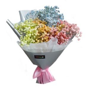 Baby's Breath, The Flower of Purity - catching the rainbow