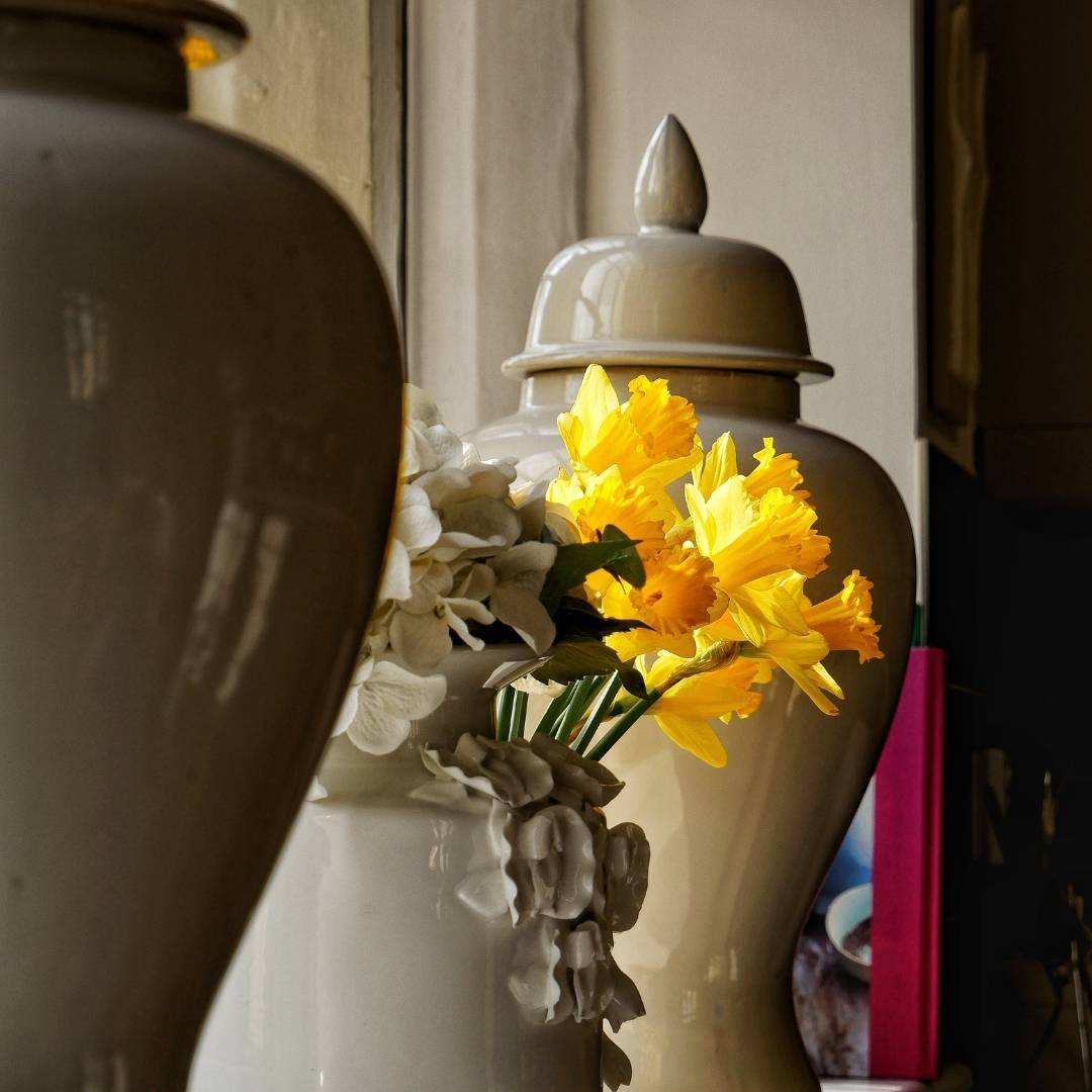 Create a Flower-Loving Environment