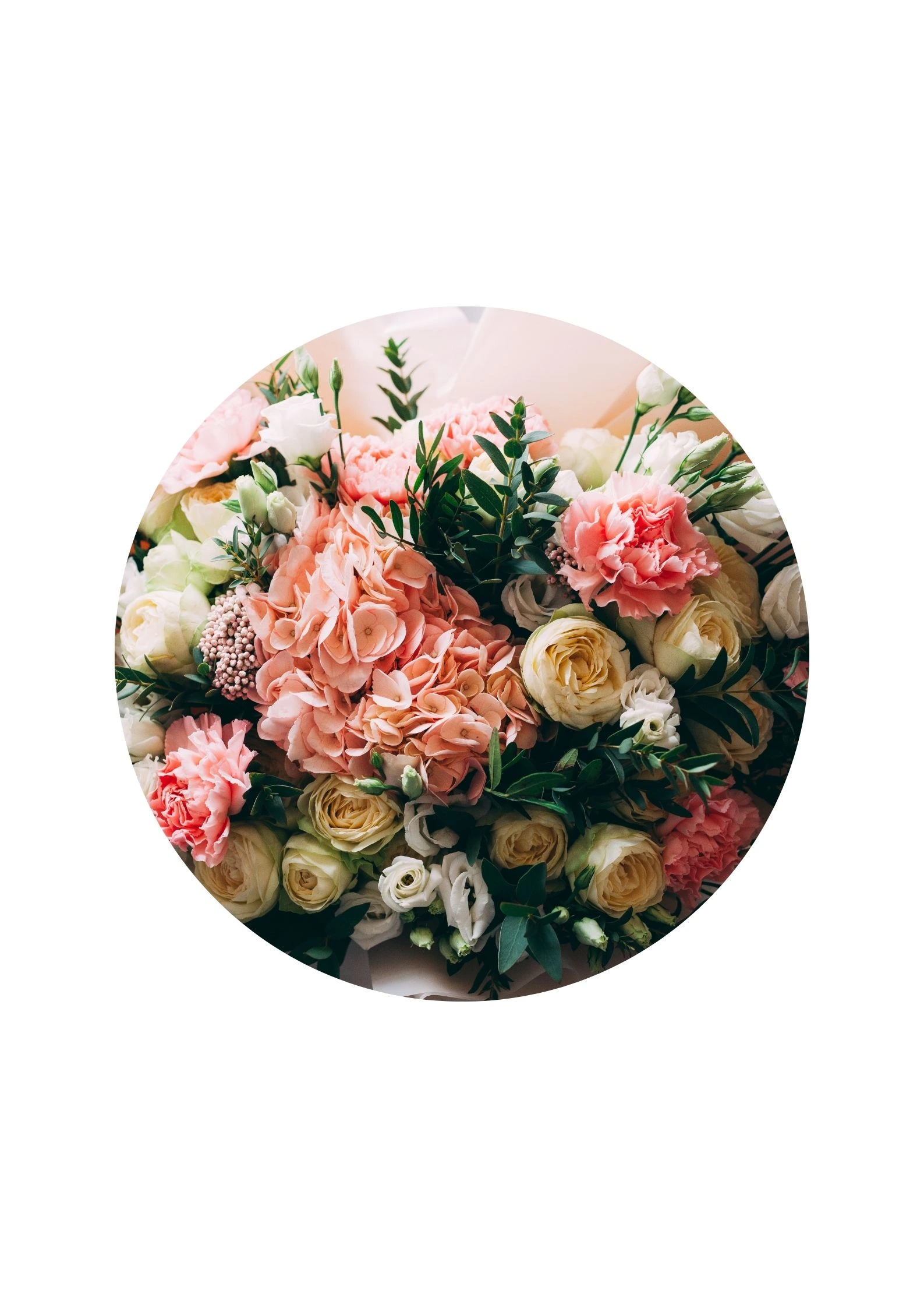 image-Premium Blooms